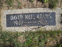 David Neil Adams 