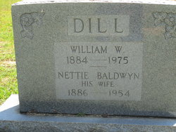 Nettie Ann <I>Baldwyn</I> Dill 