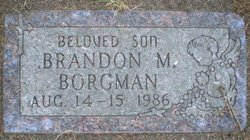 Brandon M. Borgman 