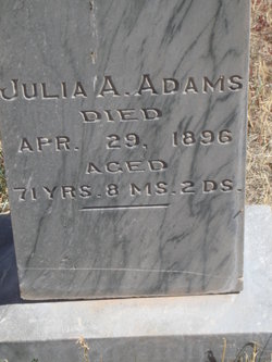 Julia A Adams 