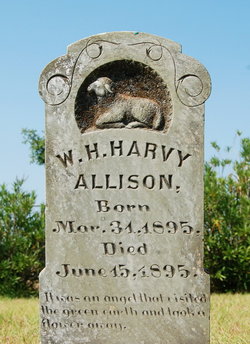 W. H. Harvey Allison 
