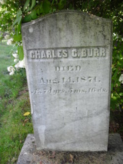 Charles Chauncey Burr 