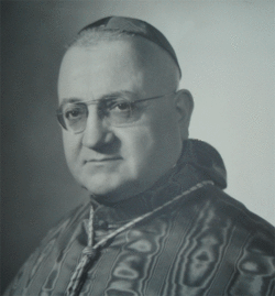 Cardinal Francesco Saverio Roberti 