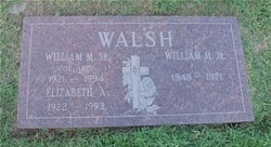 William Michael Walsh Jr.