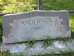 Alexander J Anderson 