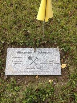 Alexander A Johnson 