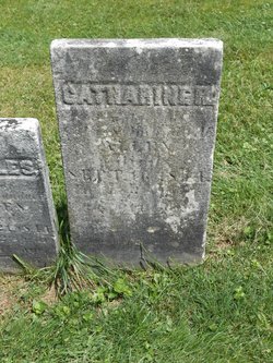 Catherine H Allen 