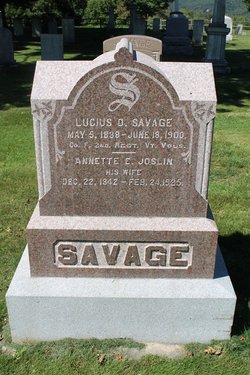 Kate D Savage 