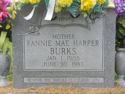 Fannie May <I>Hanner</I> Harper Burks 