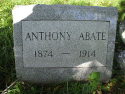 Anthony Abate 