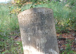 Carrie D Trueel 