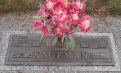 Lucy M <I>Frank</I> Kaufman 