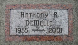 Anthony Ray DeMello 