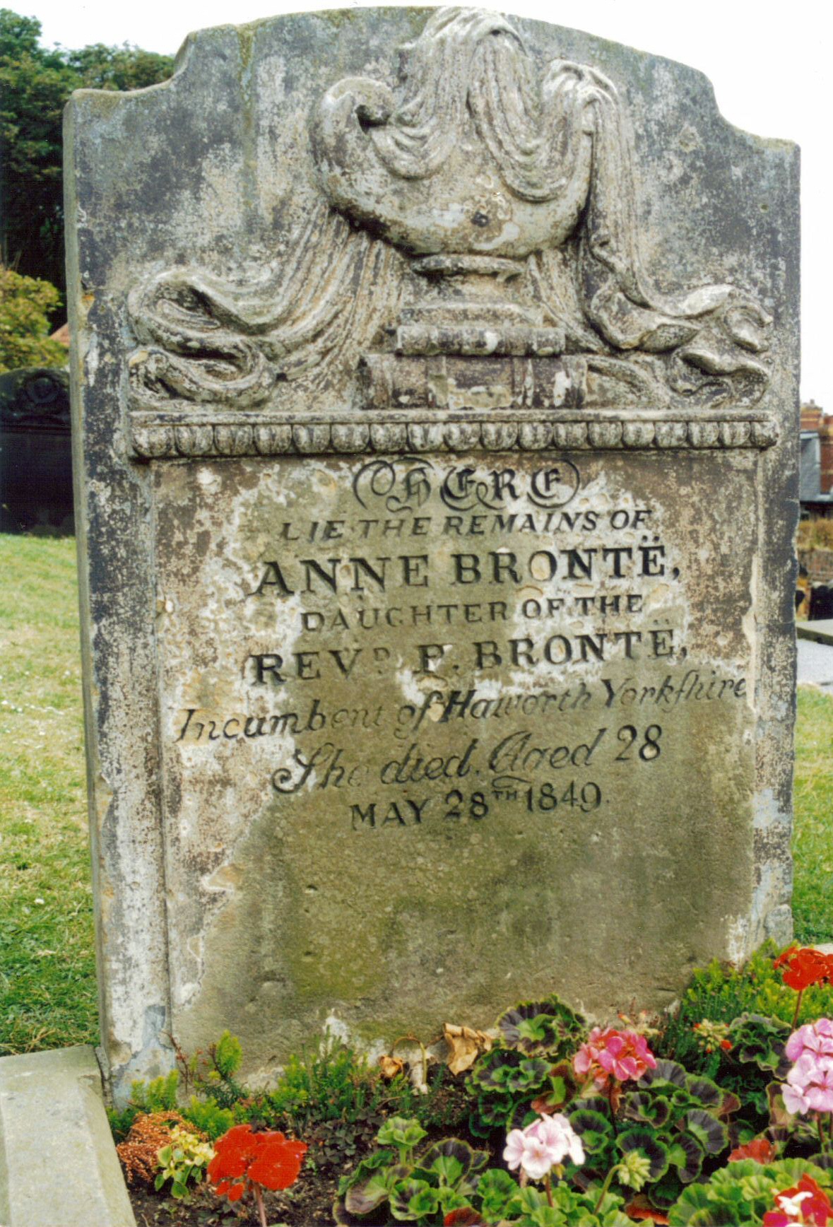 Anne Brontë e Flossy – Dalla mia finestra