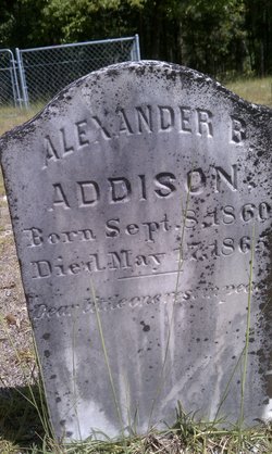 Alexander B Addison 