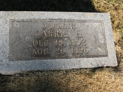 Carrie E Allen 