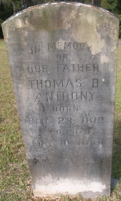 Thomas B Anthony 