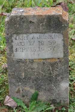 Mary Ann <I>Gambill</I> Jenkins 