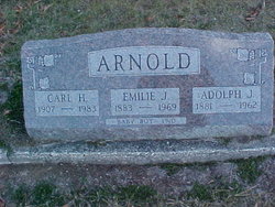 Carl H Arnold 