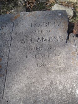 Elizabeth Amoss 