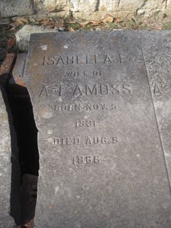 Isabella Elizabeth <I>Douglass</I> Amoss 