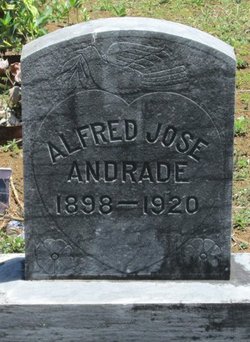 Alfred Jose Andrade 