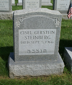 Cisel <I>Gerstein</I> Steinberg 