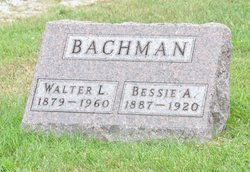 Walter Levi Bachman 