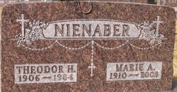 Theodor Henry Nienaber 