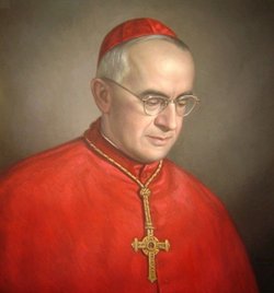 Cardinal Crisanto Luque Sánchez 