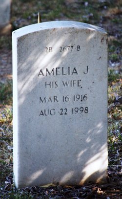 Amelia Josephine <I>Scannell</I> Davis 