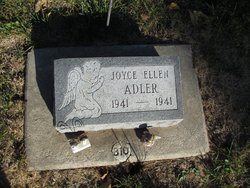 Joyce Ellen Adler 