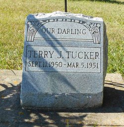 Terry J. Tucker 