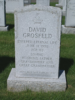 David Grosfeld 