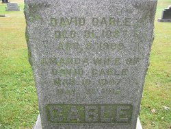 David Curtis Cable 