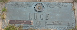 Lloyd Hugill Luce 