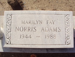 Marilyn Fay <I>Norris</I> Adams 