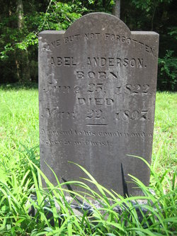 Abel Anderson 