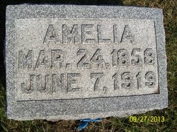 Amelia M. <I>Stevens</I> Pecht 