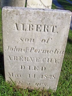 Albert Abernethy 