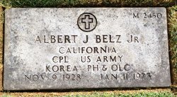 Albert J Belz Jr.
