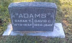 Sarah T. Adams 
