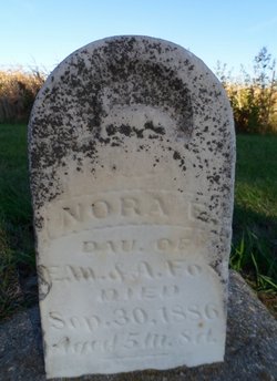 Nora E. Fox 