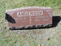 Lester N Anderson 