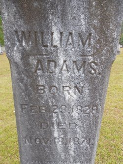 William Walter Adams 
