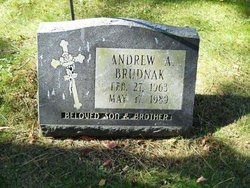 Andrew A. Brudnak 