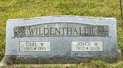 Joyce Margaret <I>Baldinger</I> Wildenthaler 