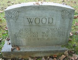 Sarah Ann <I>Seagraves</I> Wood 
