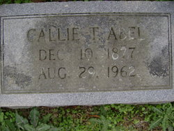 Callie T. Abel 