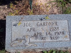 Joe Gardner 